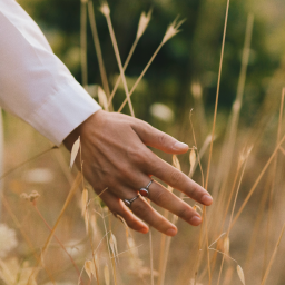 Reconnect: Somatic Yoga traumasensible Selbsterfahrung